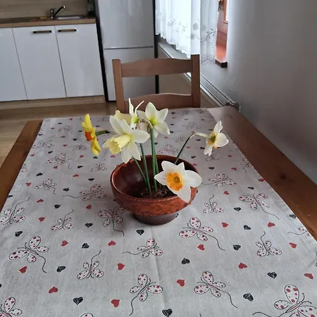 Apartma Accommodatie bij particulieren *