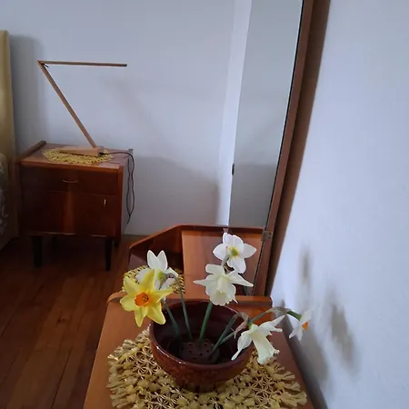 Apartma Cerknica